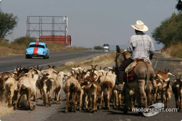 Race Winning Classics