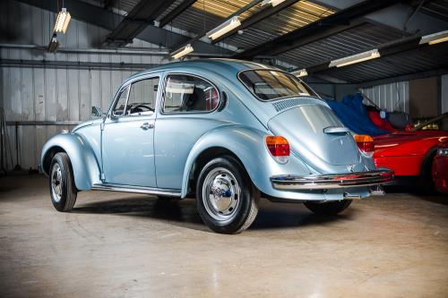 Time Warp beetle to feature at Aarhus Sale in Denmark