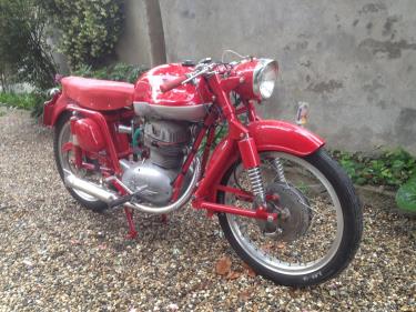 Barons Auction Preview at Kempton Park