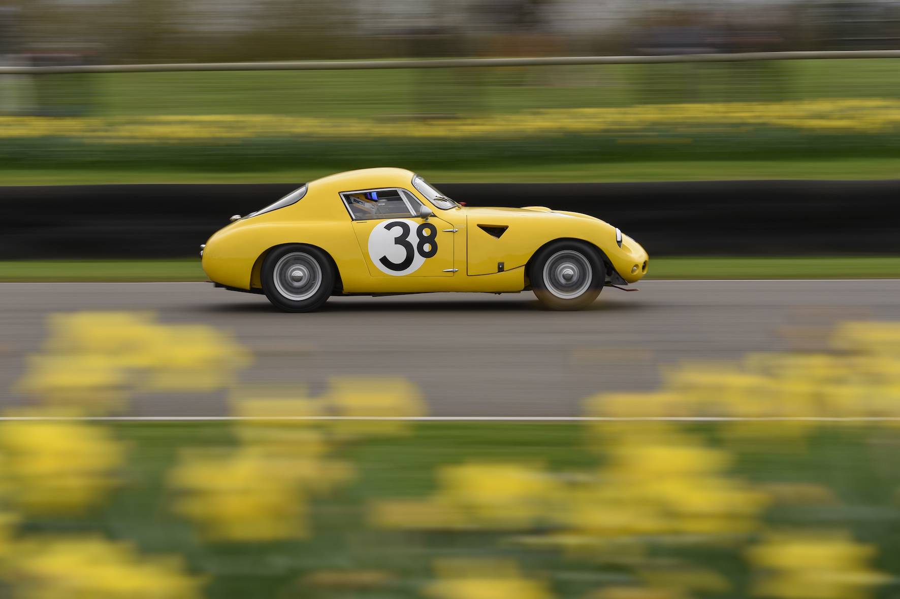 Goodwood 75th Members Meeting