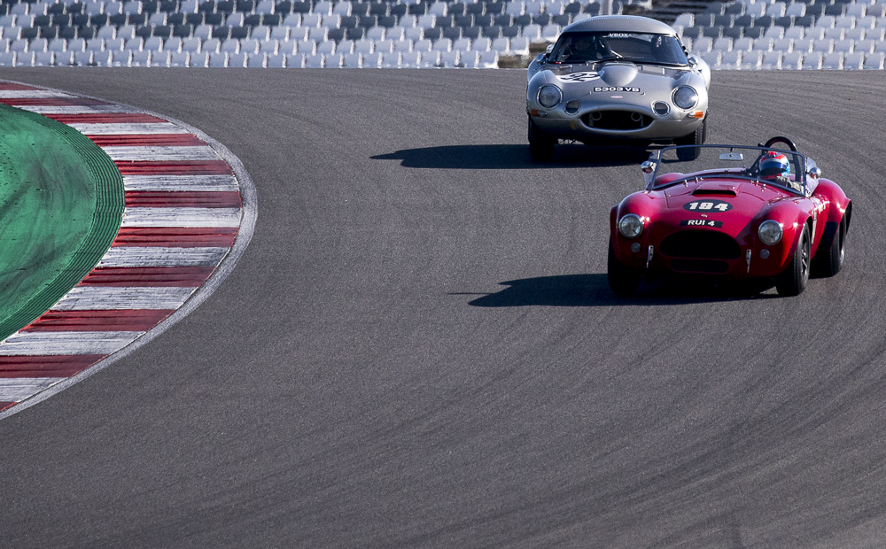 Portuguese Men of War strike gold in the Algarve