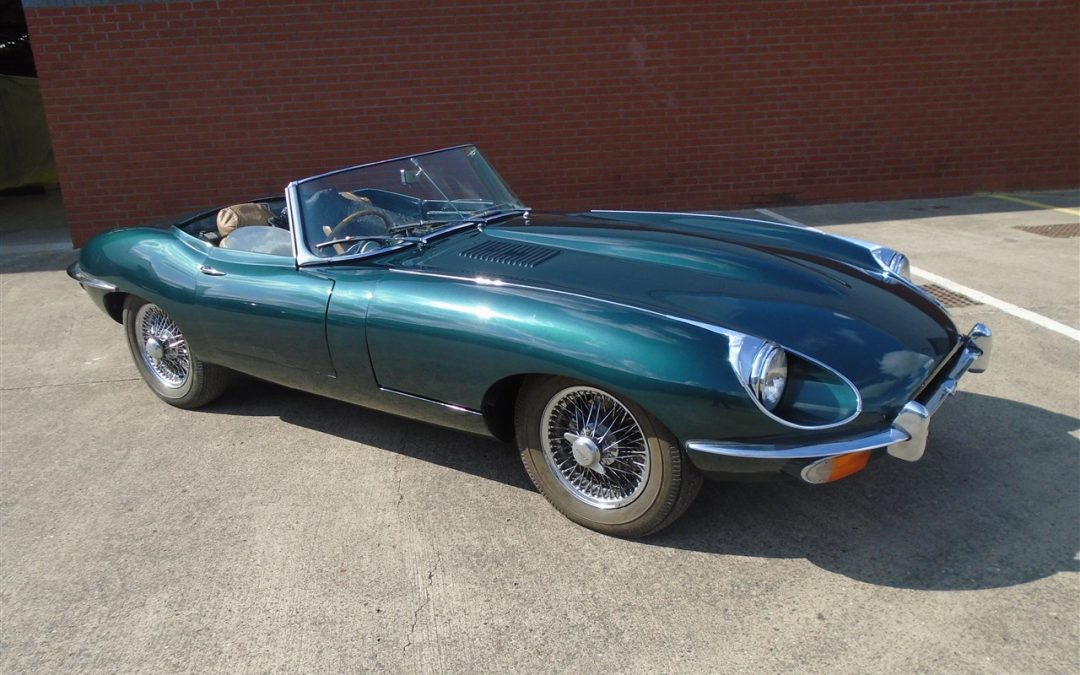 Big Cats Purr at Kempton Park