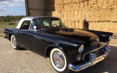 American Muscle heading for the hammer in December