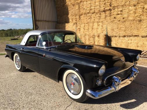 American Muscle heading for the hammer in December