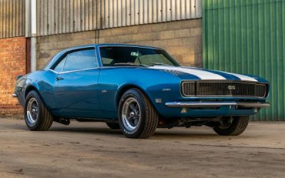 CCA Auctions Continue Online!