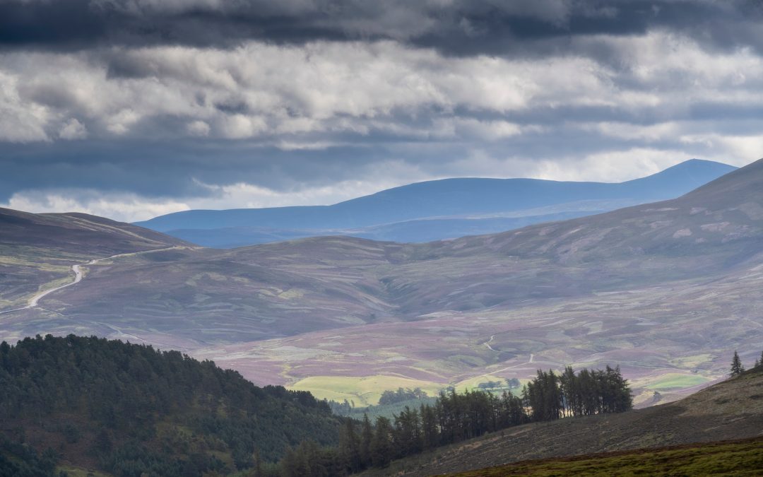 Light at the end of the tunnel – new dates from Rally The Globe!